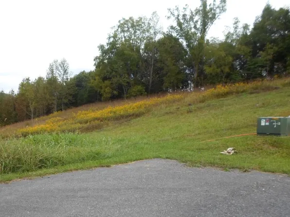33 Summit Dr, Cedar Bluff, VA 24609