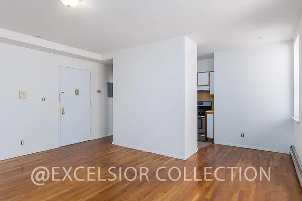 Rented by The Excelsior Collection LTD | media 9