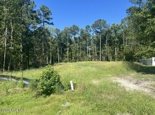 306 Joans Ridge LOT 33, Stella, NC 28582