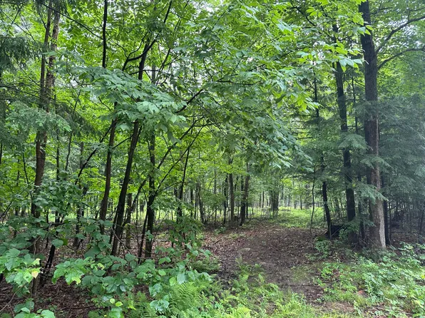 LOT 10 Kellar Dr, Merrill, WI 54452