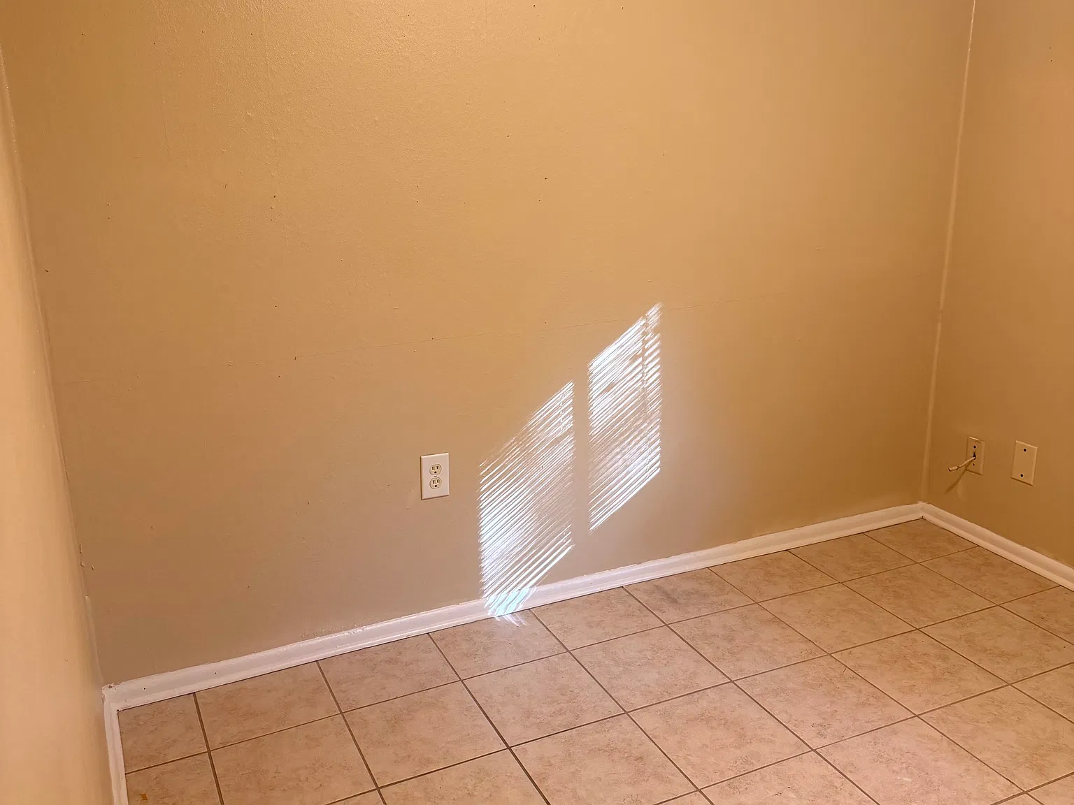 3 bed, 1600 sqft, $1,100 — Photo 3