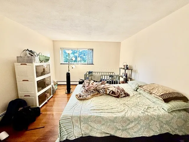 260 Mount Auburn St #1E — Photo 12