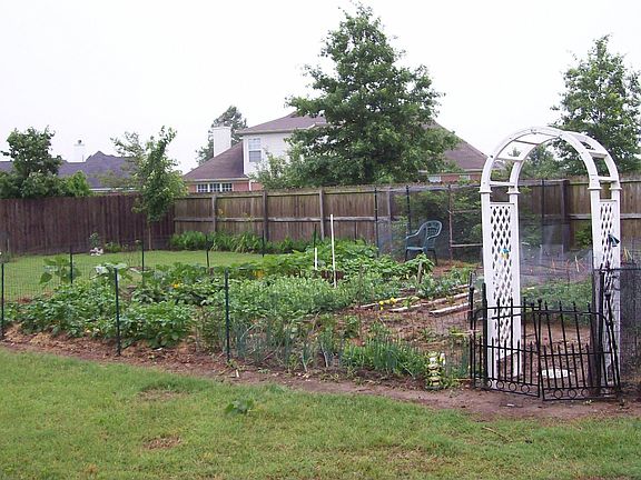 Vegtable garden