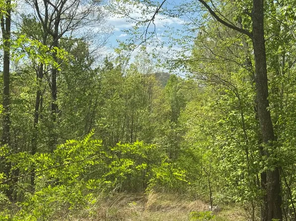 LOT 24 Falls View Dr, Bryson City, NC 28713