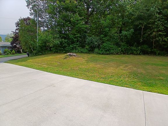 Driveway and side yard