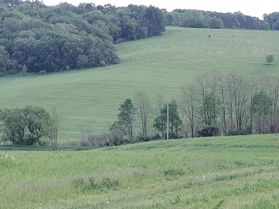 1st image of Fritz Rd