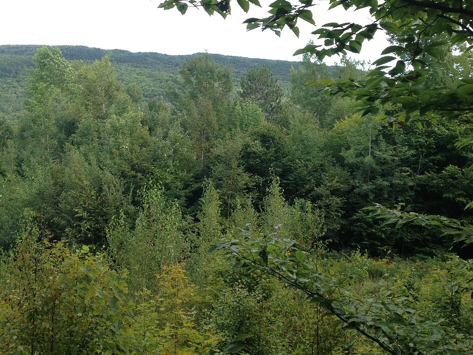 1st image of Adirondack Park - 9.2 Acres Of Vacant Land