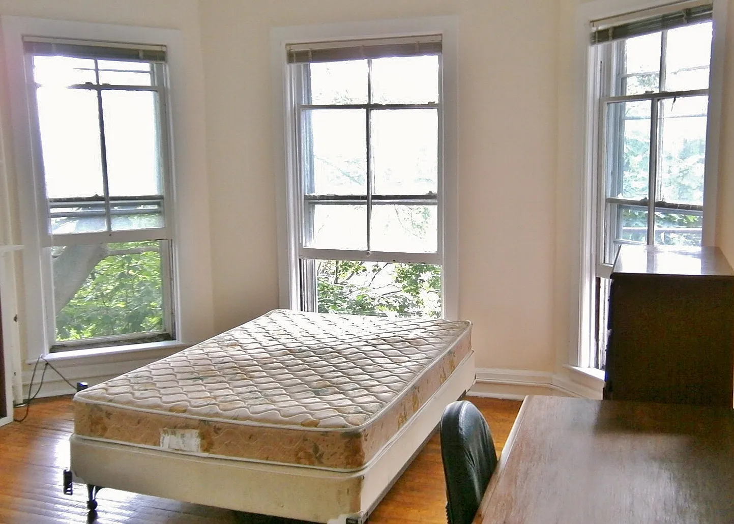 105 Dewitt Place - 4 — Photo 3