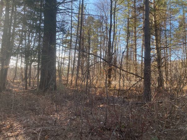 Speculator Real Estate Speculator Ny Homes For Sale Zillow