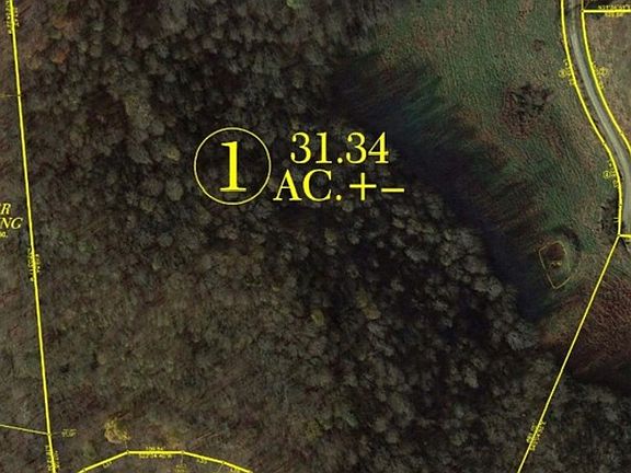 4th image of 1022 Massey Hollow Ln