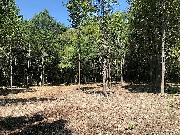 2nd image of 498 County Road 2810