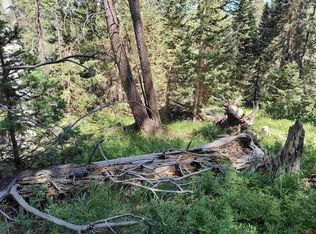 477 Rim Rd, Cimarron, CO 81220