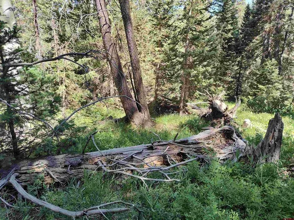 477 Rim Road, Cimarron, CO 81220