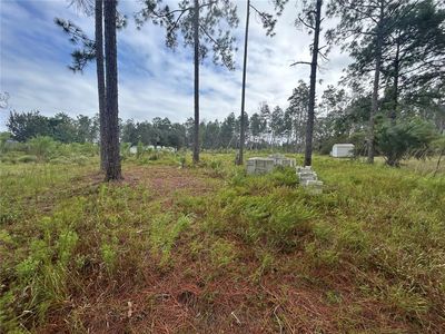Tulip Avenue Lot #3, Eustis, FL, 32736