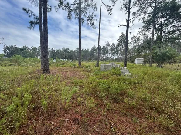 Tulip Avenue Lot #3, Eustis, FL 32736