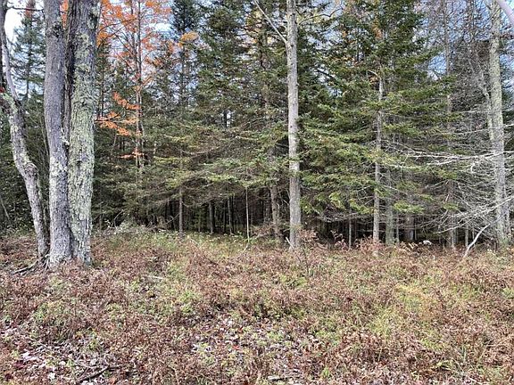 3rd image of Nhn N Hubbard Lake Rd