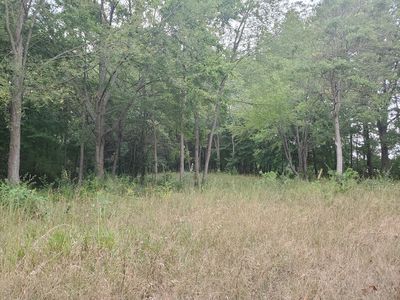 Raintree Blvd, Sturgis, MI, 49091