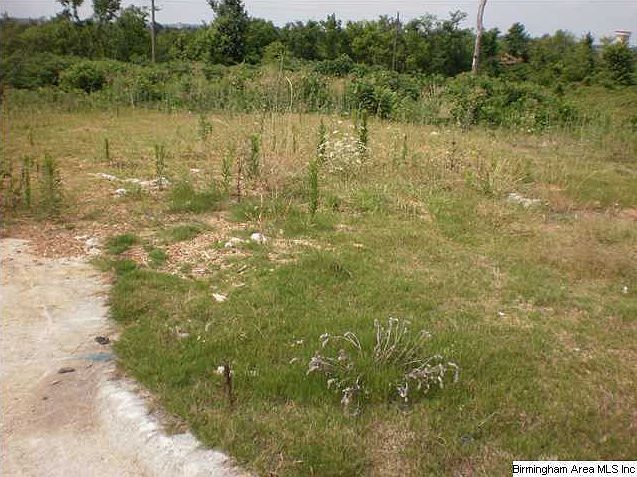 2nd image of 709 Lamplighter Ln #0