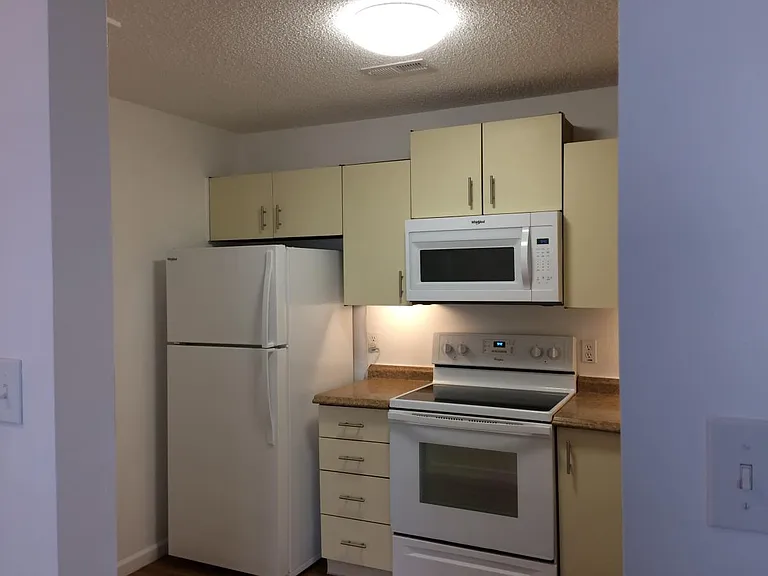 The Condo's Kitchen