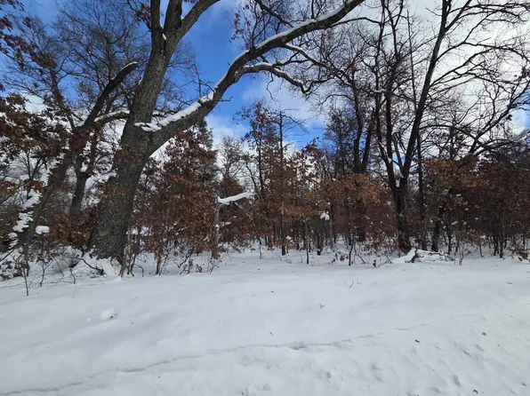 V/l S Harvard Ave, Baldwin, MI 49304