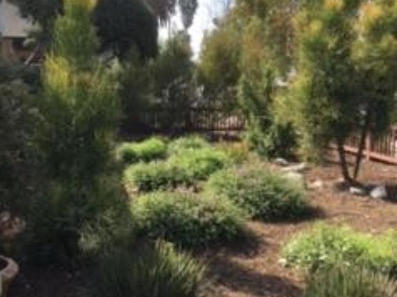 Drought tolerant landscaping in front yard