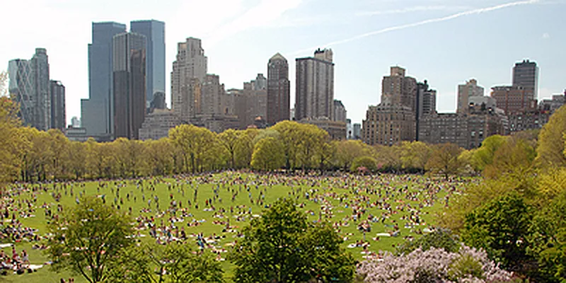 Rented by Camhi NYC Realty Inc | media 34