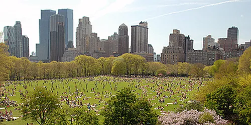 Rented by Camhi NYC Realty Inc