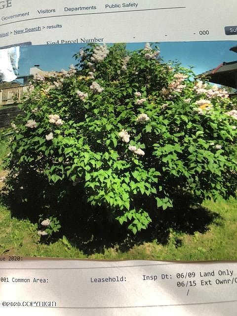 2nd image of 2510 Aspen Dr
