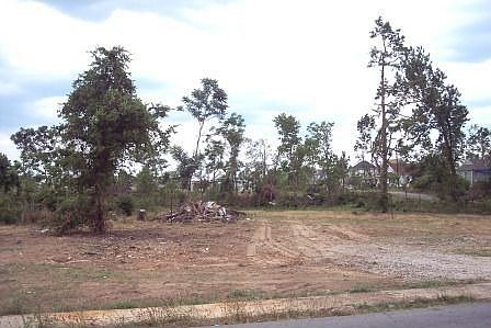 2nd image of 606 Magnolia Ave
