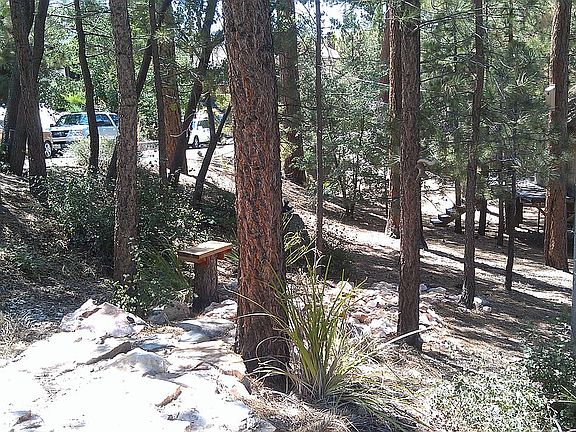 Front yard from drieway