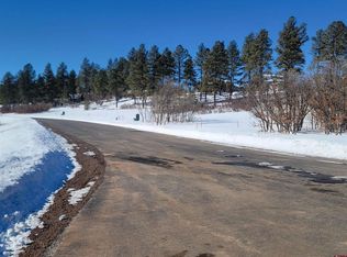 234 Saddle Ln, Durango, CO 81301