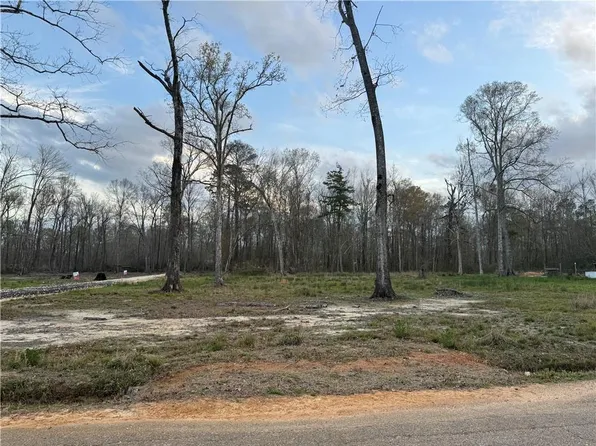 27498 E Shadow Lake Dr Tract E, Holden, LA 70744
