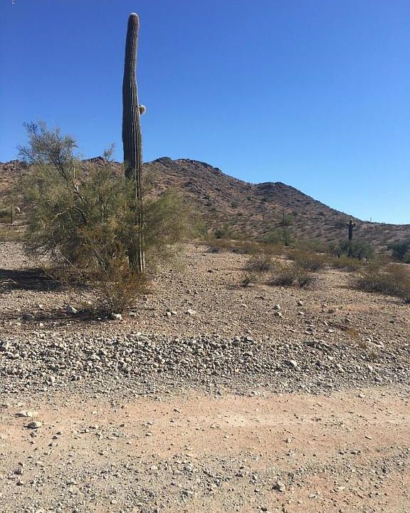 2nd image of 8XXX S 138th Ave