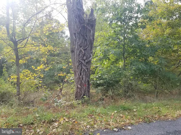 Old Cumberland Rd, Flintstone, MD 21530