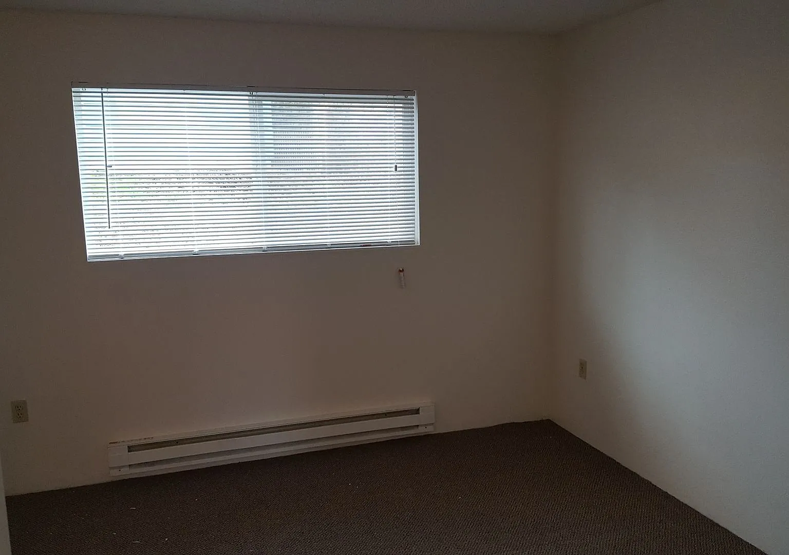 BHS T 1015 Viking Village — Photo 2