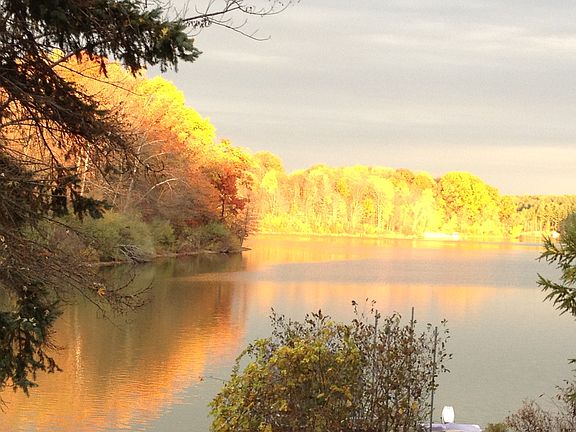 Looking East this fall