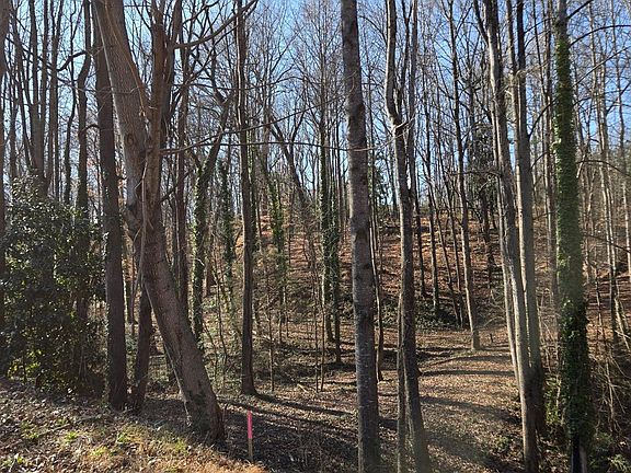 5th image of 0 Spring Valley Ln