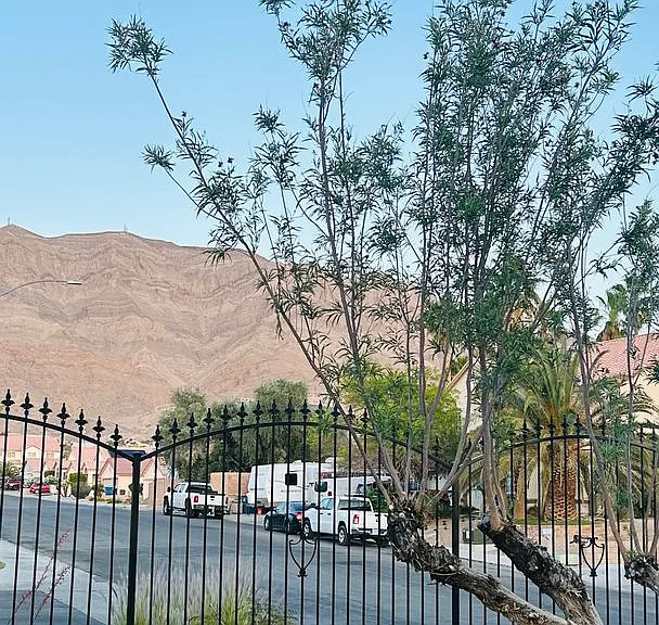 1371 Aultman Ct — Photo 28