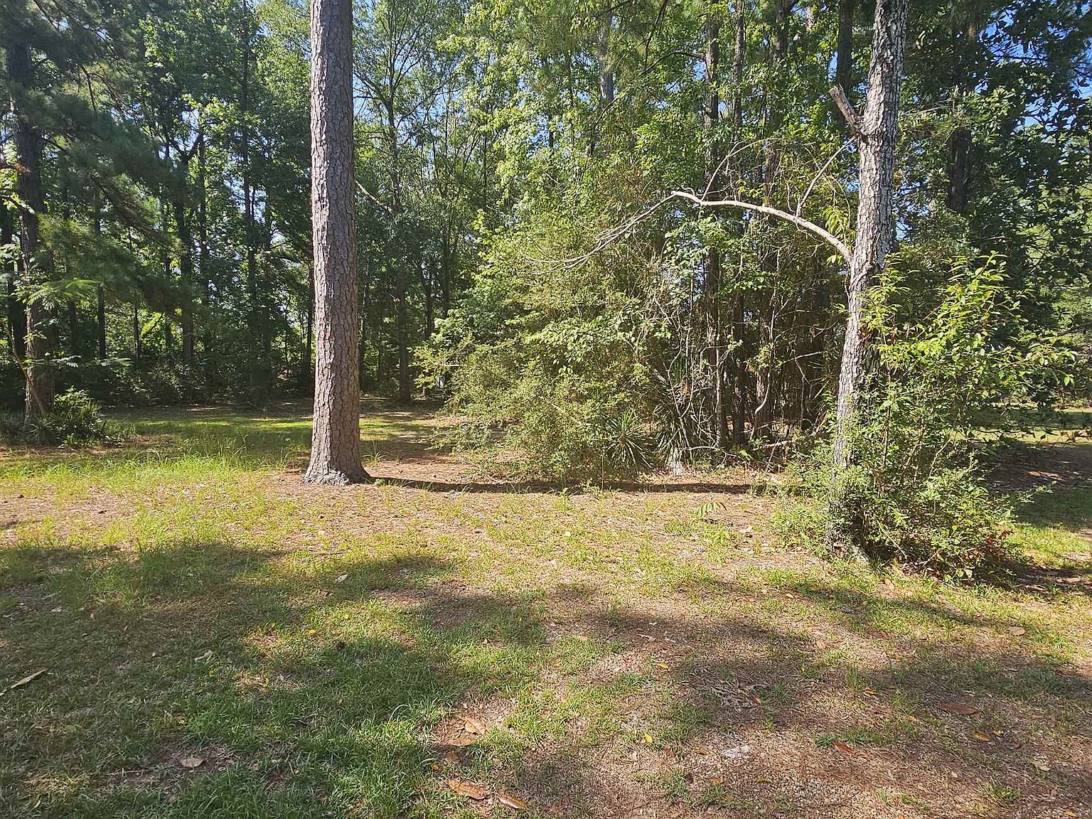 395 Forest Dr, Hemphill, TX 75948 Zillow