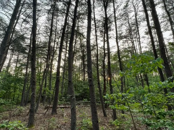 924 Mitchem Ln, Hedgesville, WV 25427