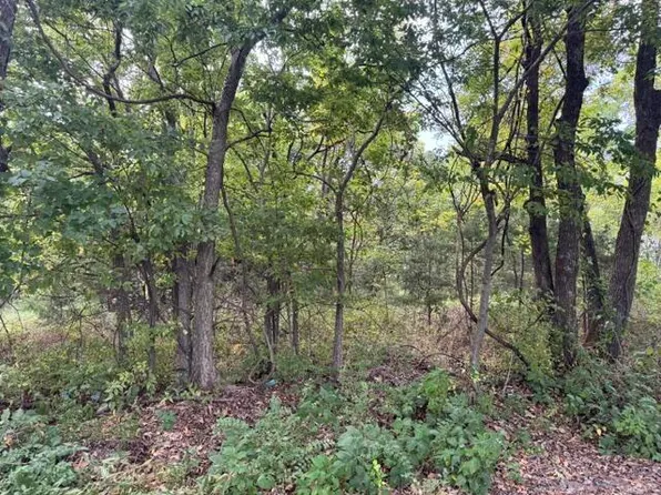 137 Tie Road, Marshfield, MO 65706