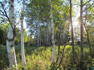Xx Falls Avenue Thomson, Carlton, MN 55718