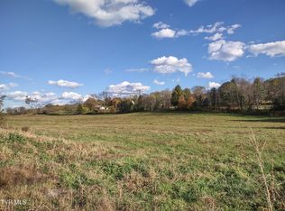 Springfield Dr, Meadowview, VA 24361