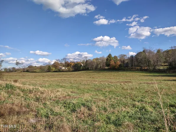 Springfield Dr, Meadowview, VA 24361