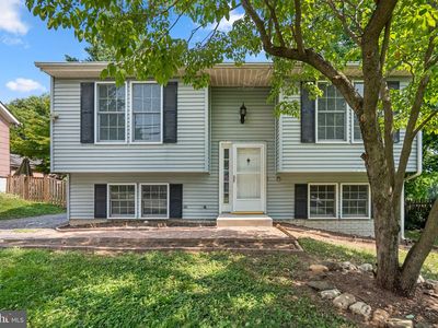 903 Chestnut St, Frederick, MD, 21703