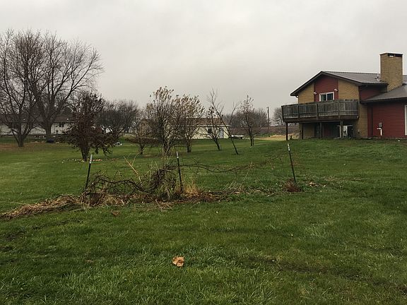 Apple ,pear and peach trees.