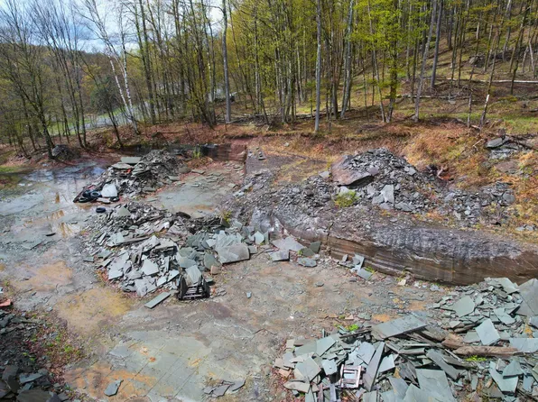 0 Buck View Dr, Hancock, NY 13783