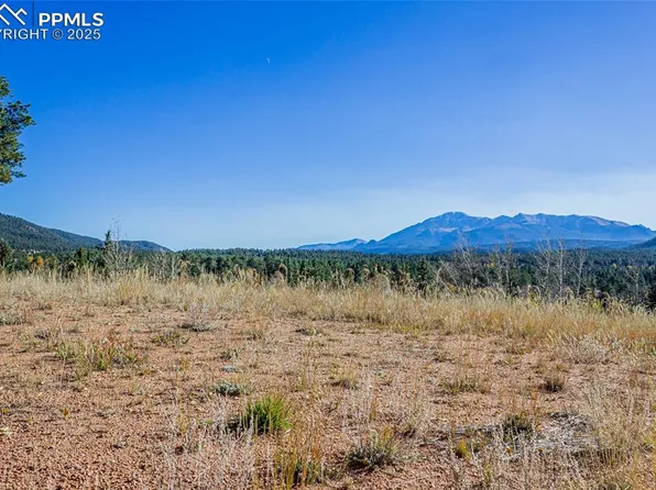 300 Apache Trl, Woodland Park, CO 80863
