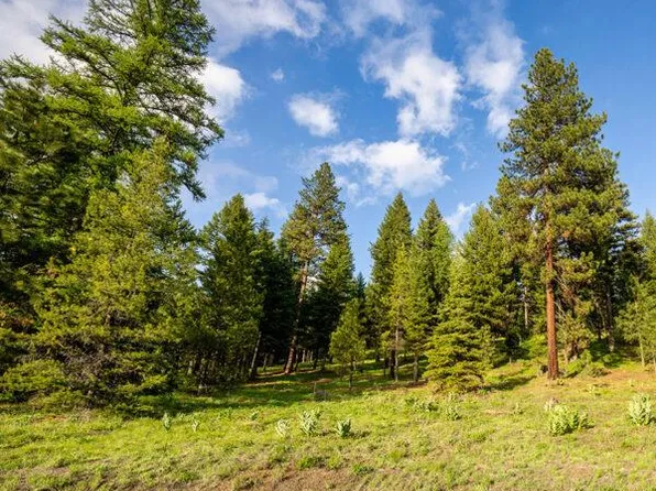 17 To Be Determined, McCall, ID 83638