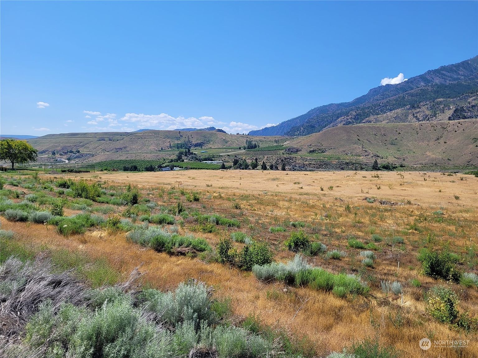 0 Bill ShawLot 2 Homesite Plat Road, Pateros, WA 98846 MLS 